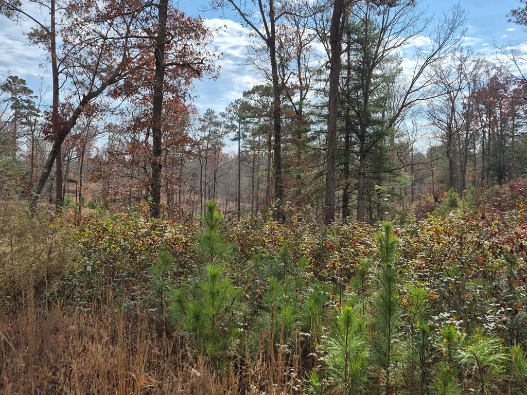00 High River Crossing, Ellijay GA 30540 - Photo