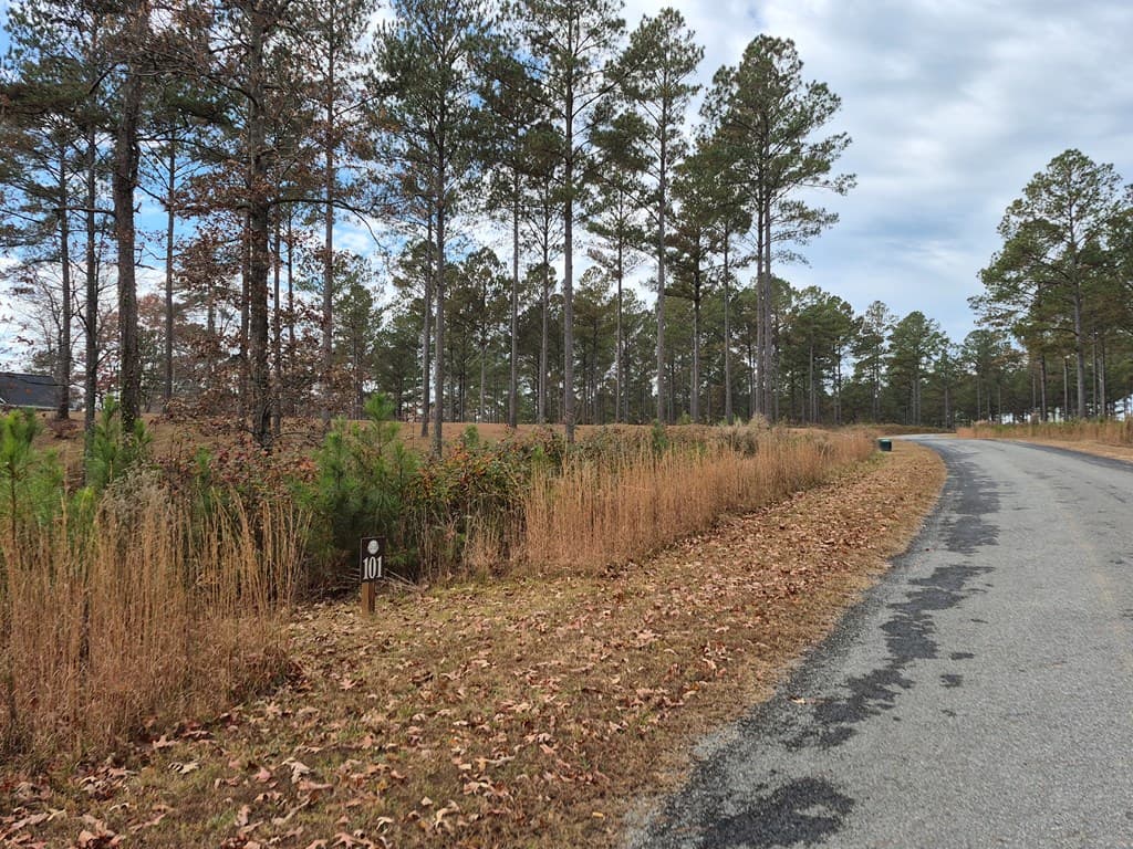 00 High River Crossing, Ellijay GA 30540 - Photo