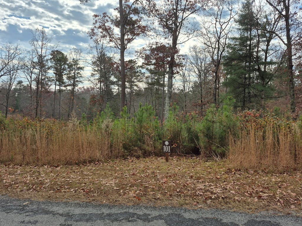 00 High River Crossing, Ellijay GA 30540 - Photo