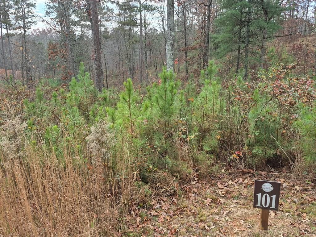 00 High River Crossing, Ellijay GA 30540 - Primary photo