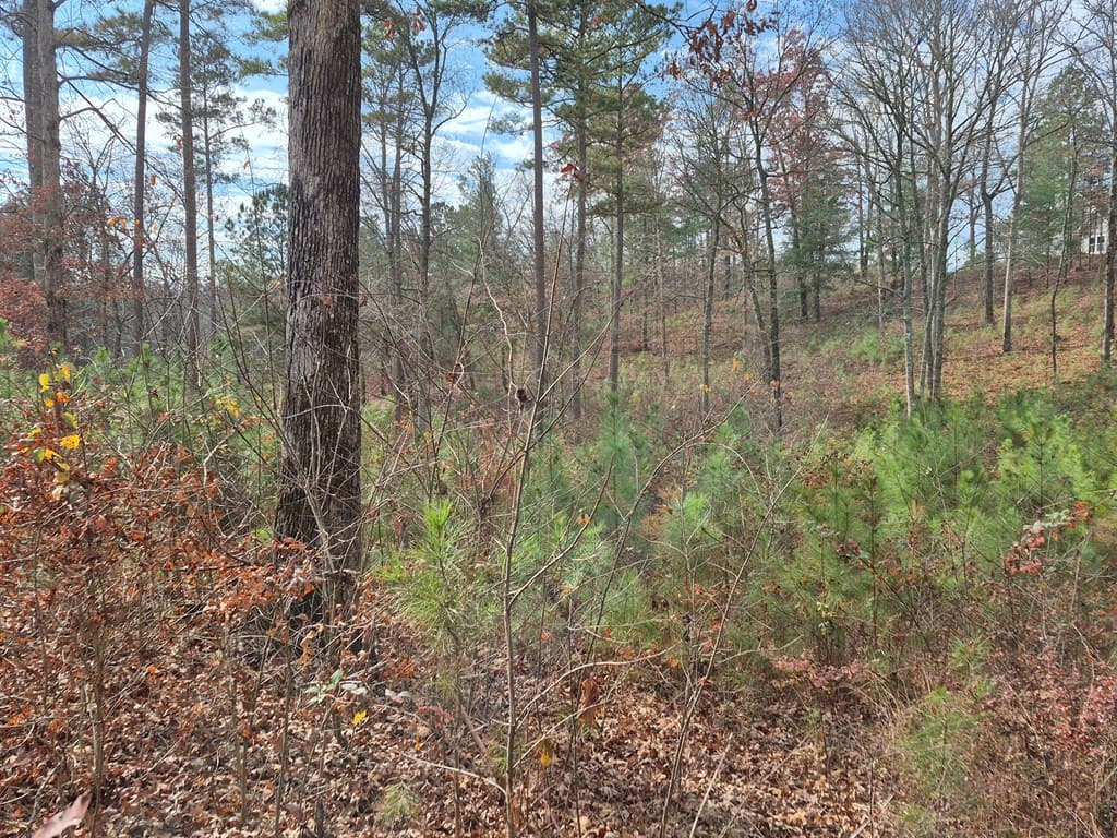 00 High River Crossing, Ellijay GA 30540 - Photo