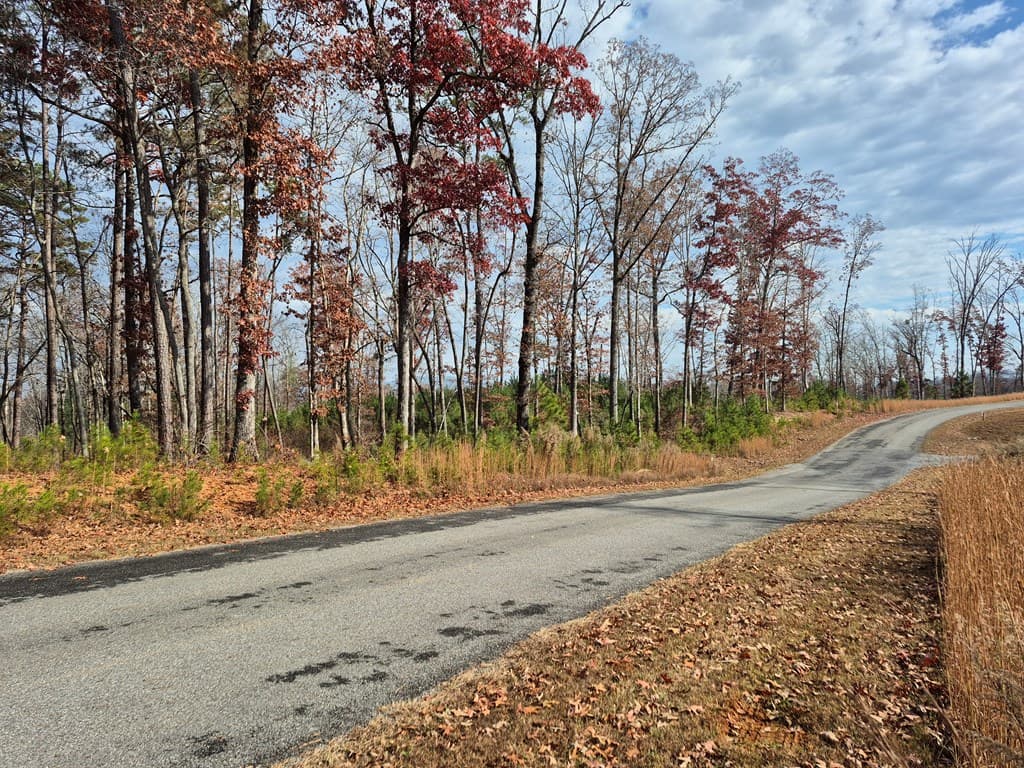 00 High River Crossing, Ellijay GA 30540 - Photo