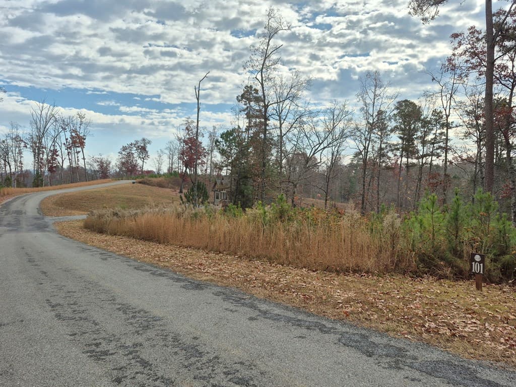 00 High River Crossing, Ellijay GA 30540 - Photo