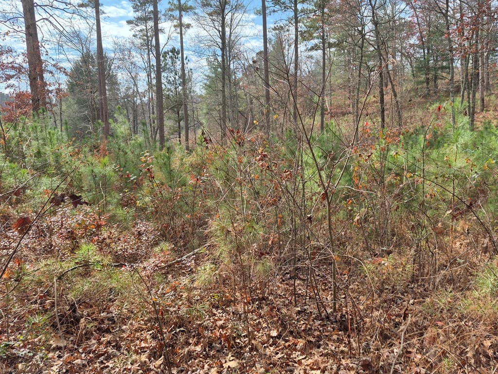 00 High River Crossing, Ellijay GA 30540 - Photo