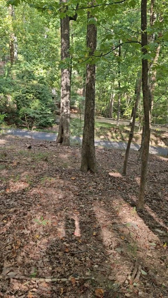 315 Windflower Drive, Big Canoe GA 30534 - Photo