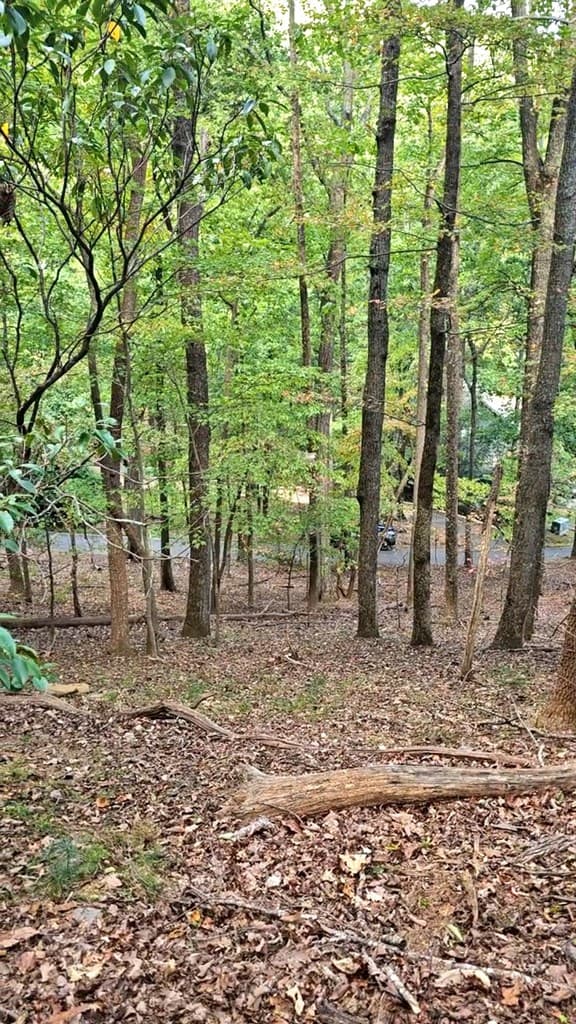 315 Windflower Drive, Big Canoe GA 30534 - Photo