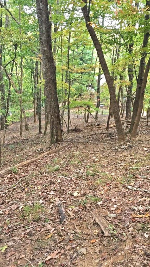 315 Windflower Drive, Big Canoe GA 30534 - Photo