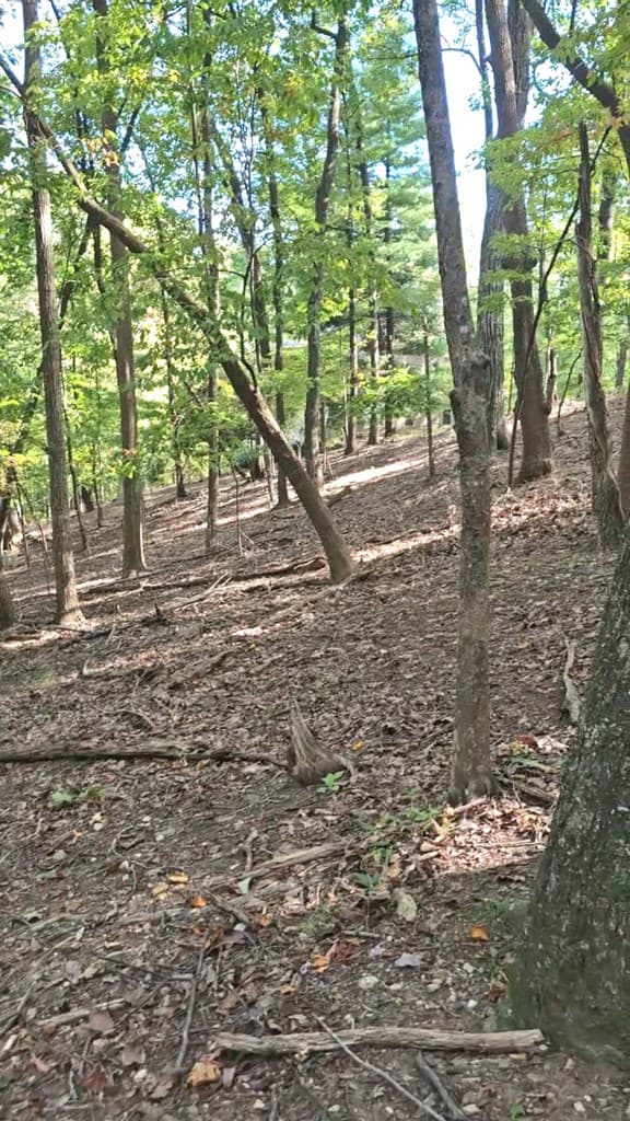 315 Windflower Drive, Big Canoe GA 30534 - Photo