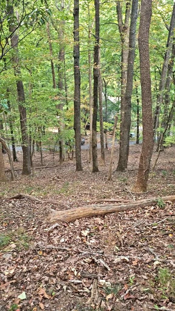 315 Windflower Drive, Big Canoe GA 30534 - Photo