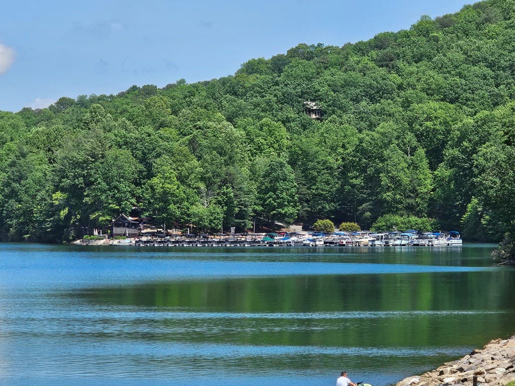315 Windflower Drive, Big Canoe GA 30534 - Photo