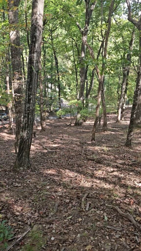 315 Windflower Drive, Big Canoe GA 30534 - Photo