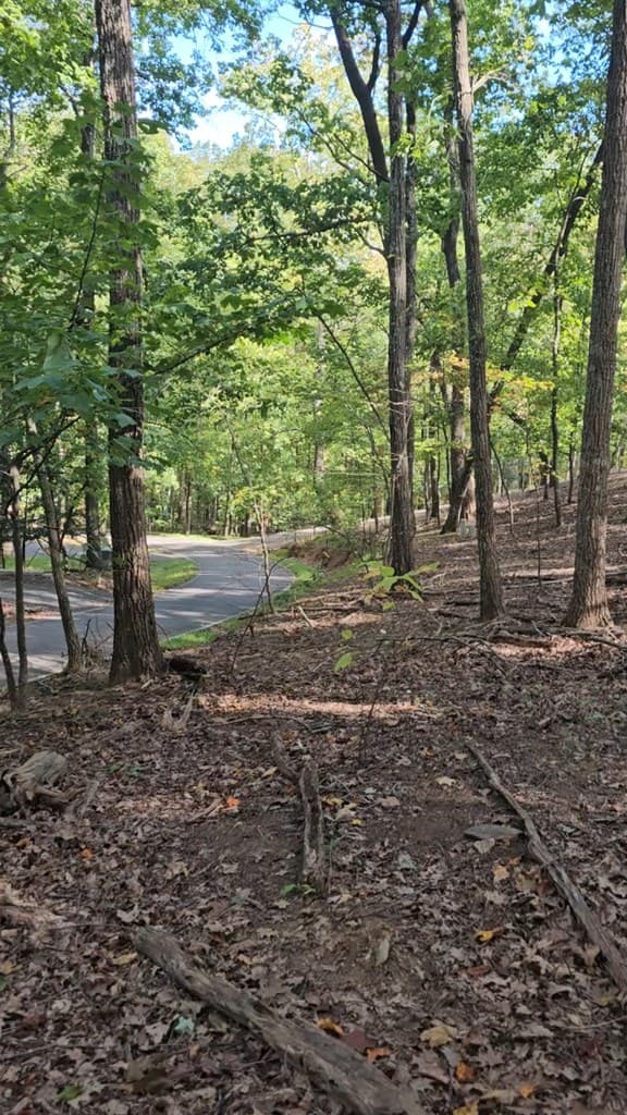 315 Windflower Drive, Big Canoe GA 30534 - Photo
