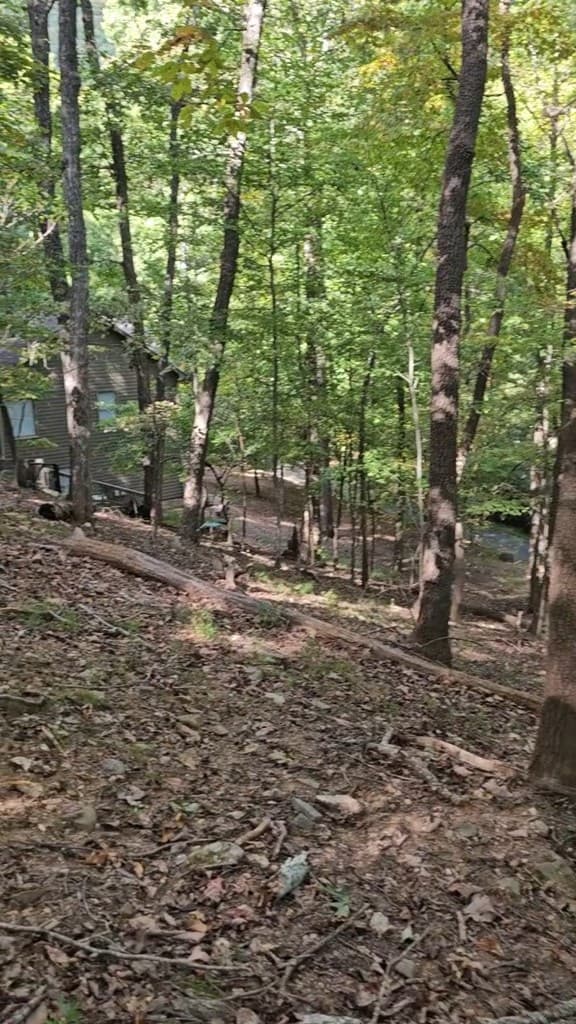 315 Windflower Drive, Big Canoe GA 30534 - Photo