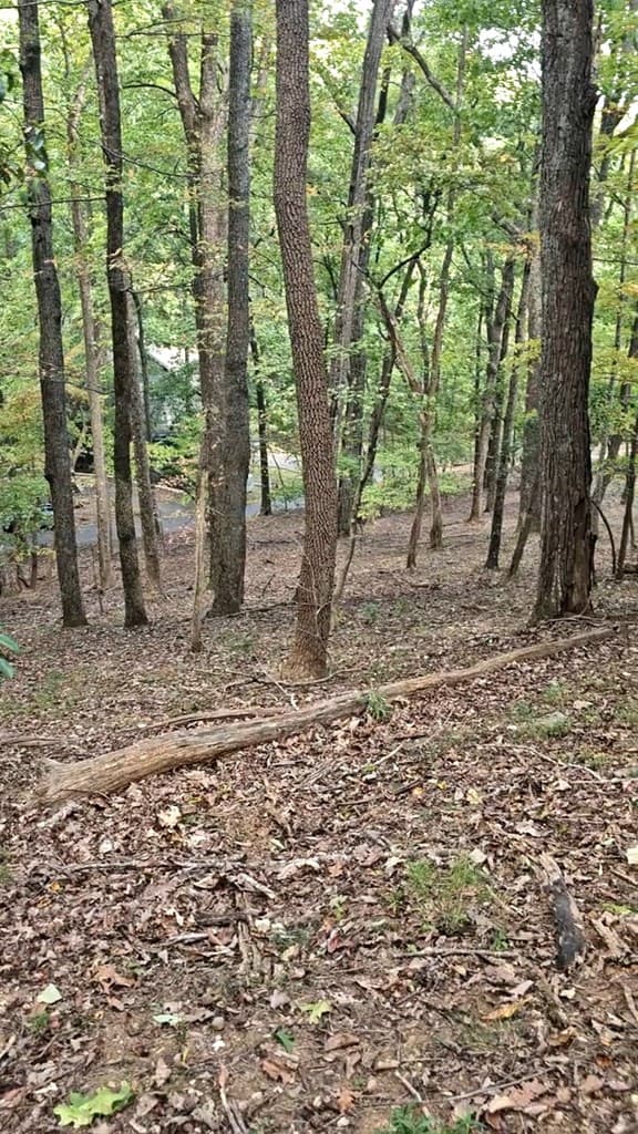 315 Windflower Drive, Big Canoe GA 30534 - Photo