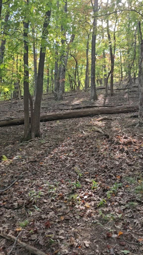 315 Windflower Drive, Big Canoe GA 30534 - Photo