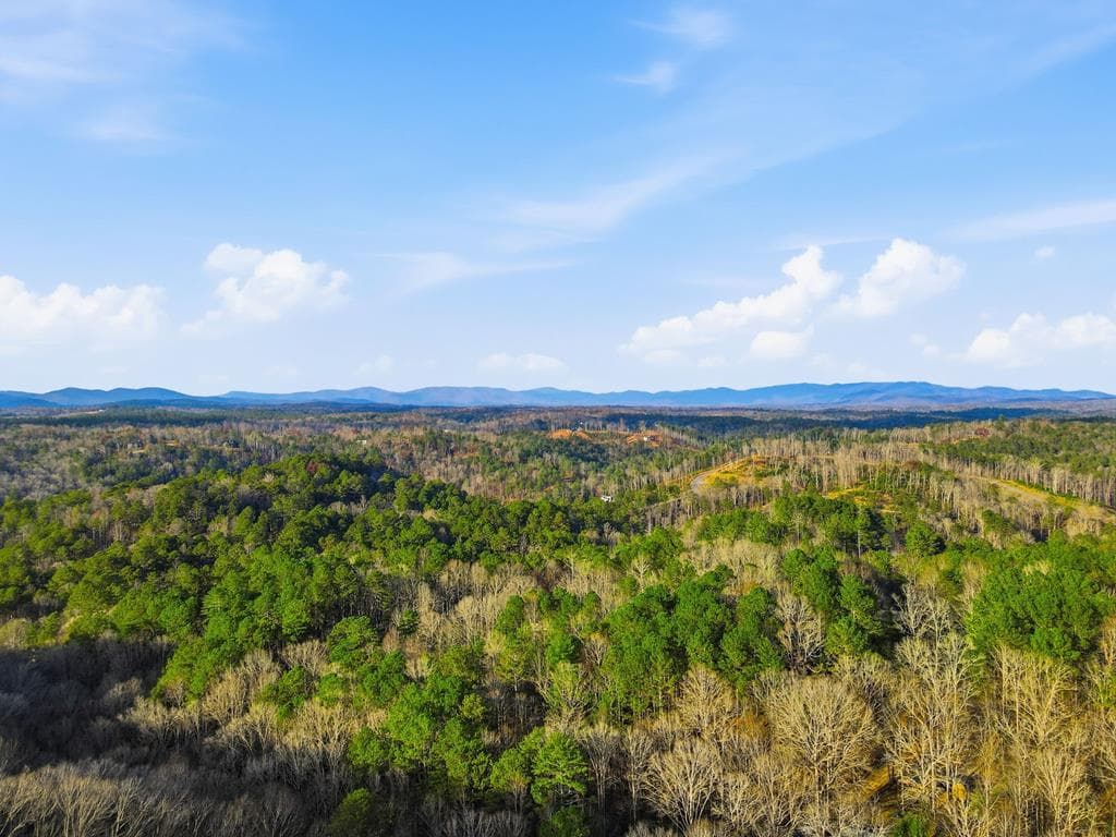 677 Catawba Circle, Ellijay GA 30540 - Photo