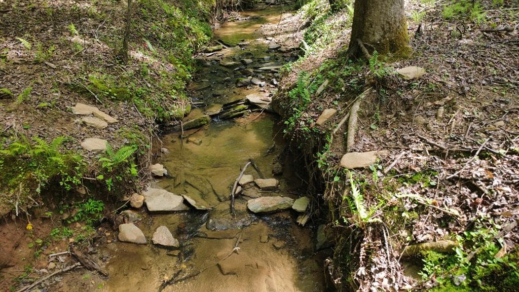 677 Catawba Circle, Ellijay GA 30540 - Photo