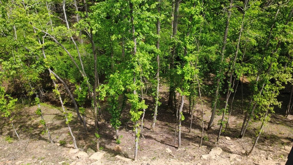 677 Catawba Circle, Ellijay GA 30540 - Photo