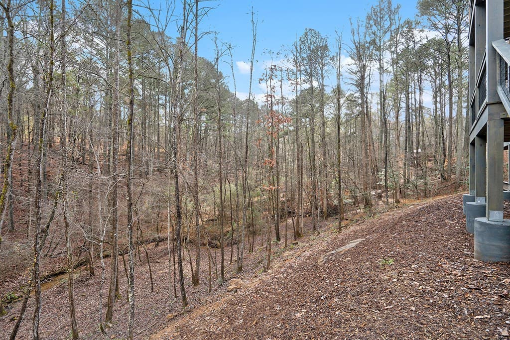 677 Catawba Circle, Ellijay GA 30540 - Photo