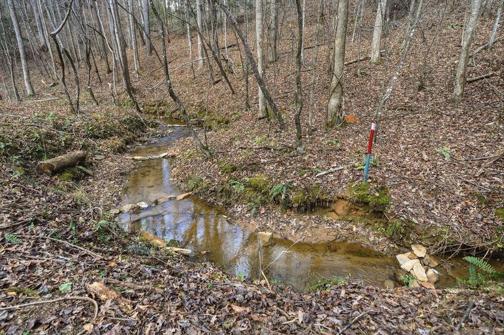677 Catawba Circle, Ellijay GA 30540 - Photo