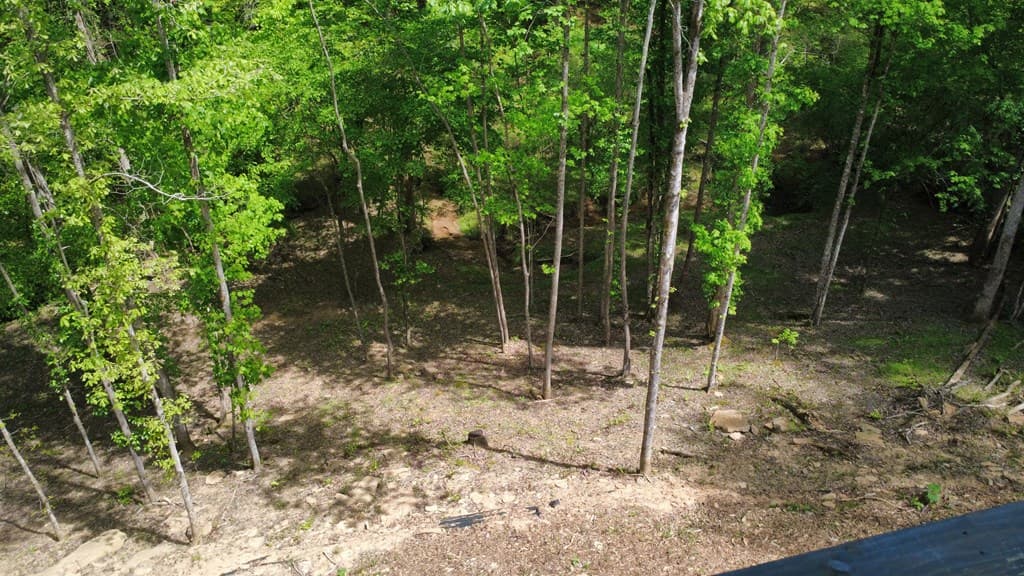 677 Catawba Circle, Ellijay GA 30540 - Photo