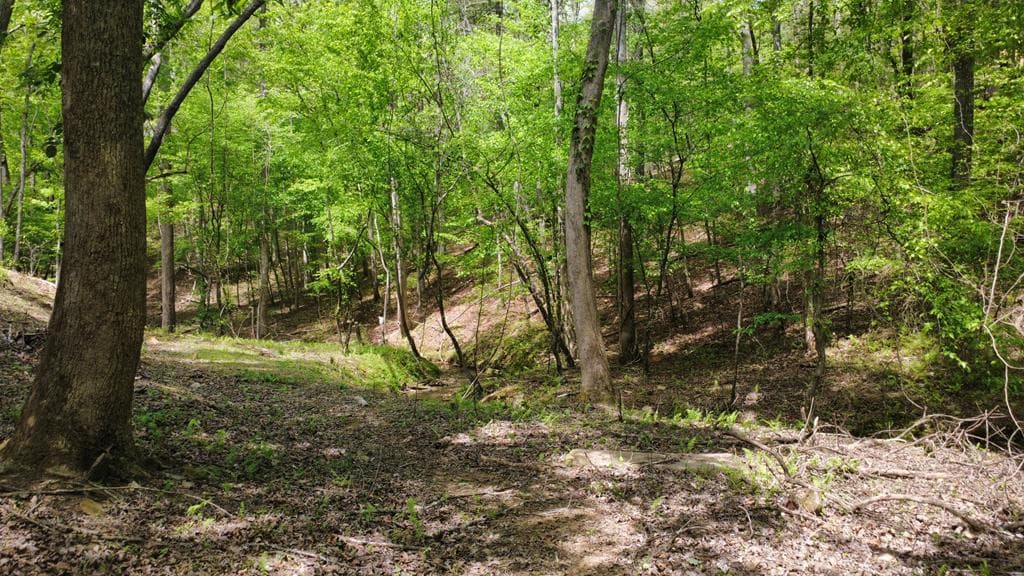 677 Catawba Circle, Ellijay GA 30540 - Photo