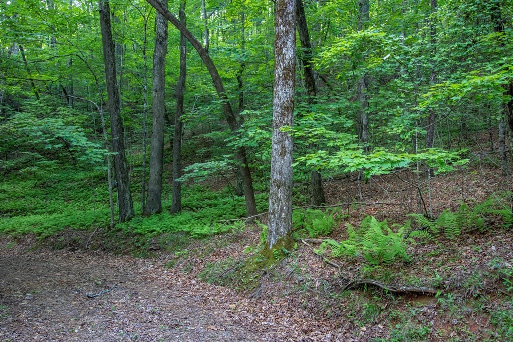 00 Laurel Mountain Road, Brasstown NC 28902 - Photo