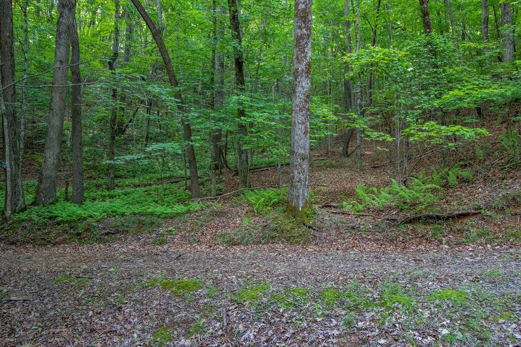 00 Laurel Mountain Road, Brasstown NC 28902 - Primary photo