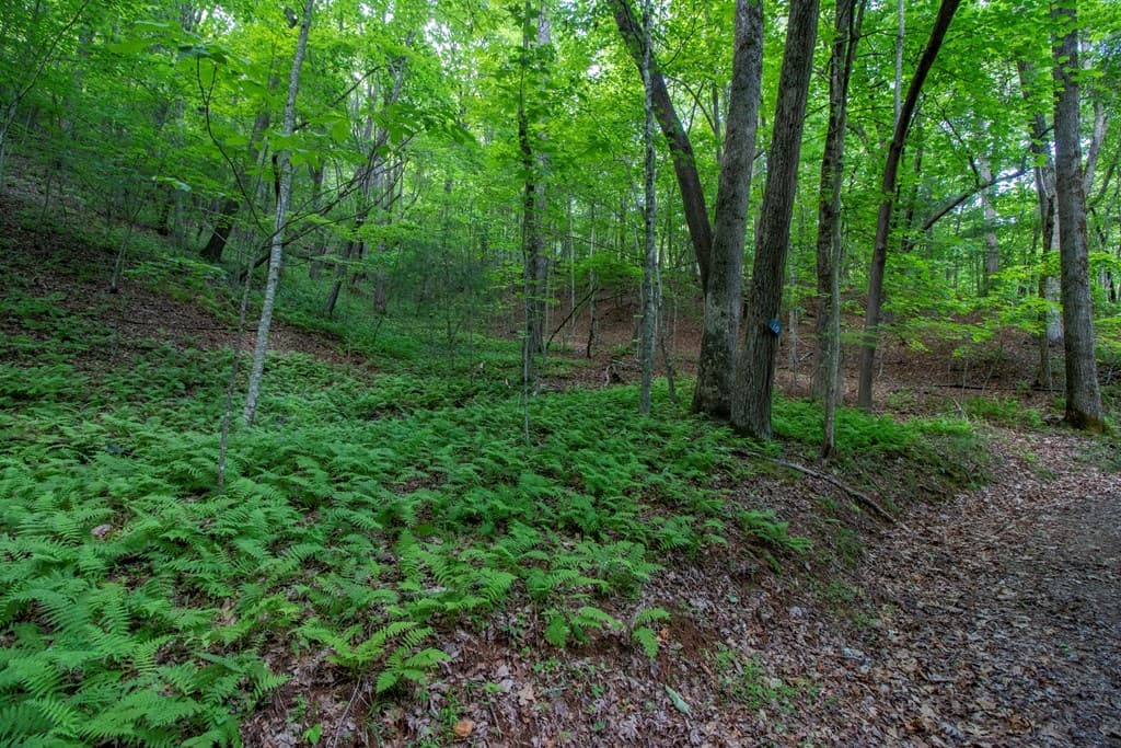 00 Laurel Mountain Road, Brasstown NC 28902 - Photo