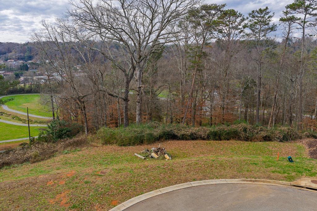 Lot 6 N Parkview Drive, Ellijay GA 30540 - Photo