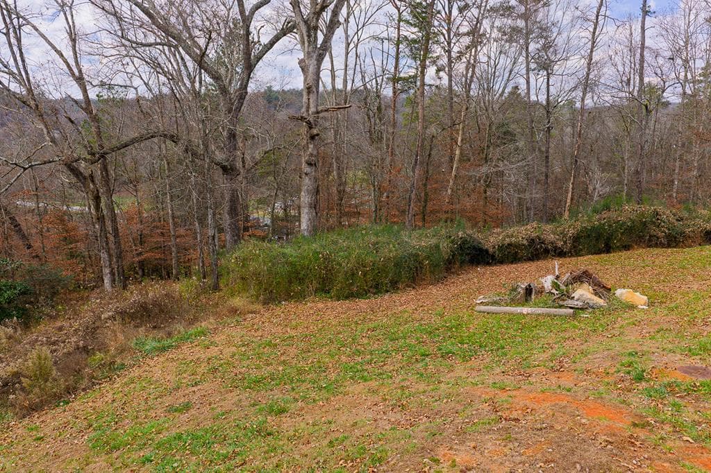 Lot 6 N Parkview Drive, Ellijay GA 30540 - Photo