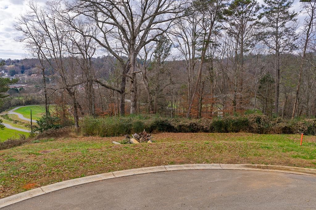 Lot 6 N Parkview Drive, Ellijay GA 30540 - Photo