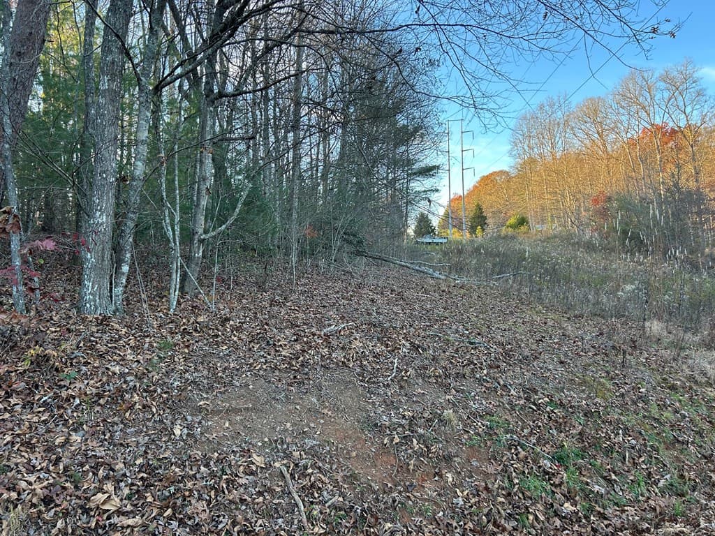 Lot 11 Tombstone Drive, Blairsville GA 30512 - Photo