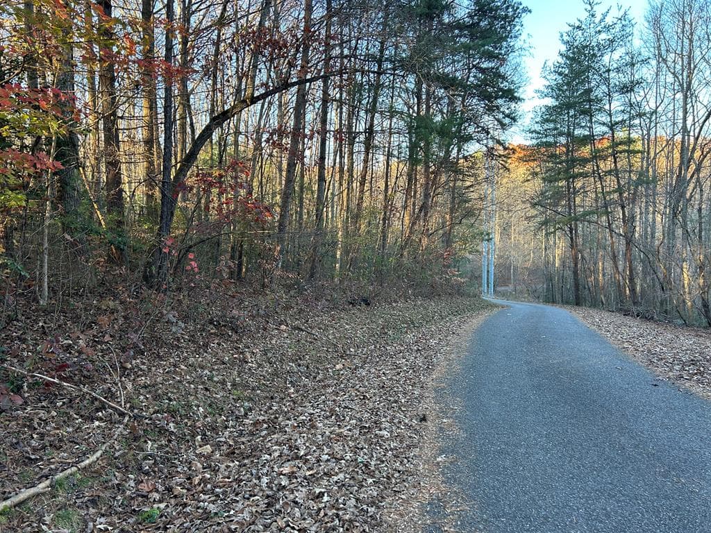 Lot 11 Tombstone Drive, Blairsville GA 30512 - Primary photo