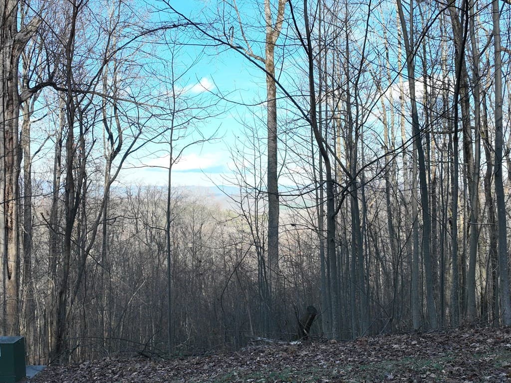 281 Andes Ridge, Ellijay GA 30536 - Photo