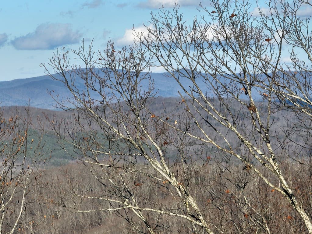 281 Andes Ridge, Ellijay GA 30536 - Photo