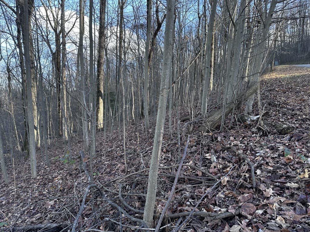 281 Andes Ridge, Ellijay GA 30536 - Photo