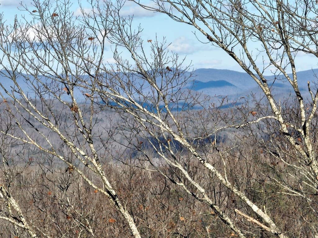 281 Andes Ridge, Ellijay GA 30536 - Photo