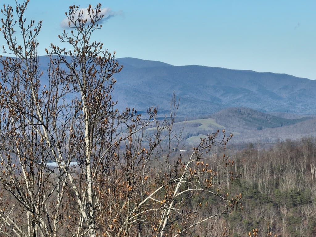 281 Andes Ridge, Ellijay GA 30536 - Photo