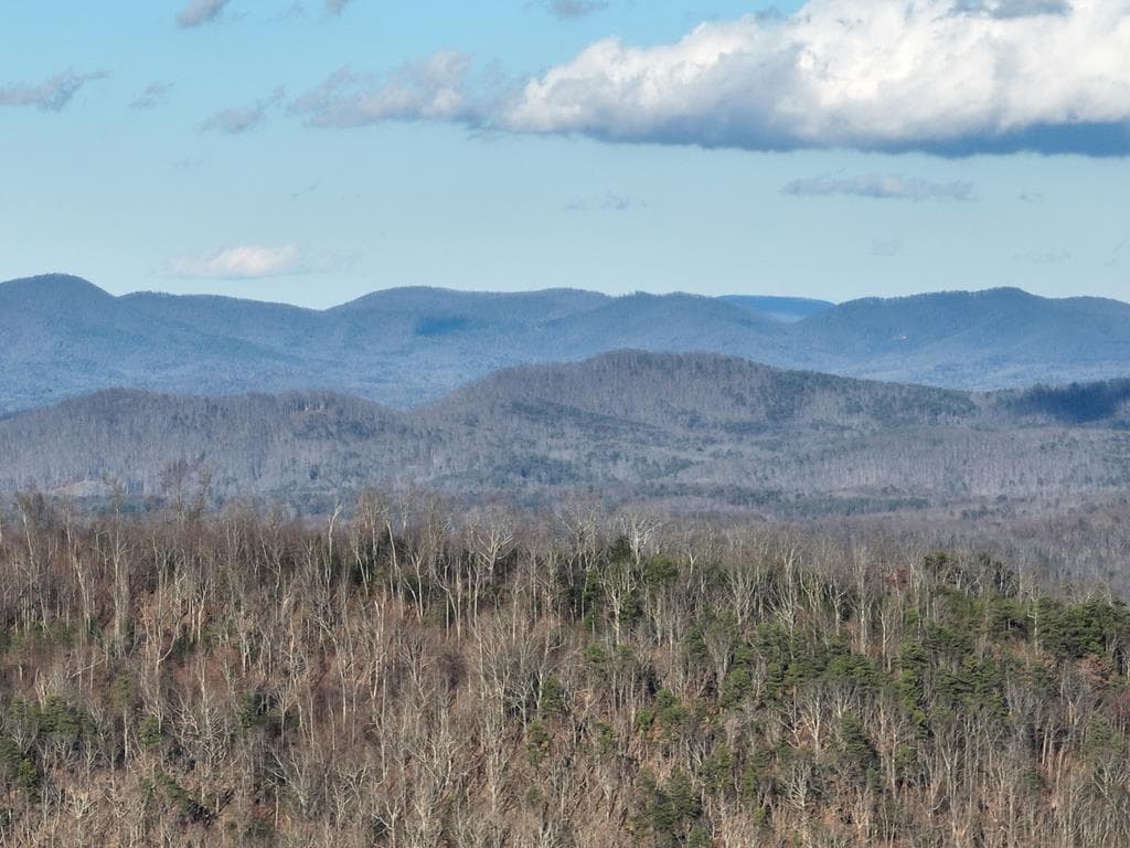 281 Andes Ridge, Ellijay GA 30536 - Primary photo