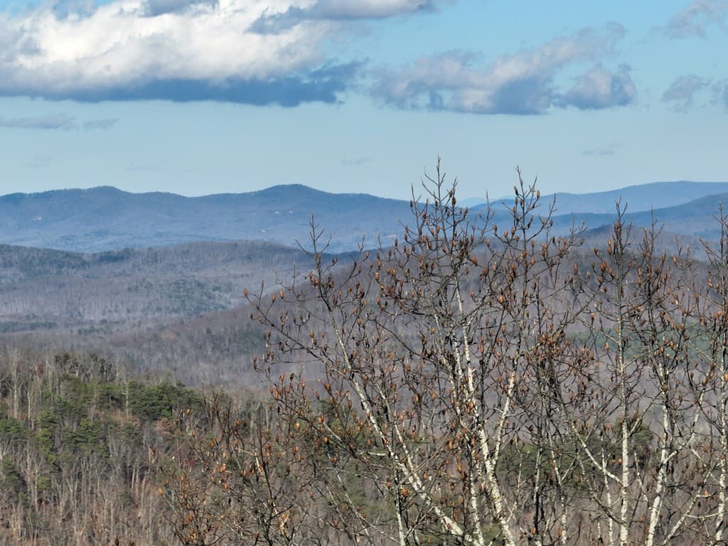 281 Andes Ridge, Ellijay GA 30536 - Photo