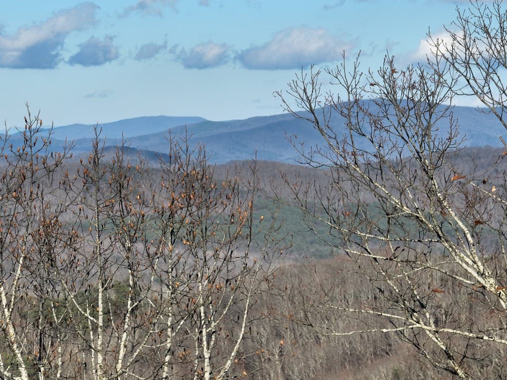 281 Andes Ridge, Ellijay GA 30536 - Photo