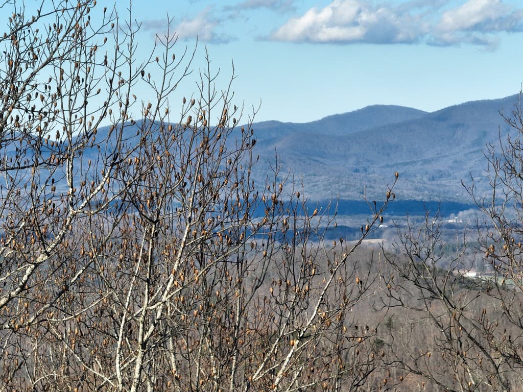 281 Andes Ridge, Ellijay GA 30536 - Photo