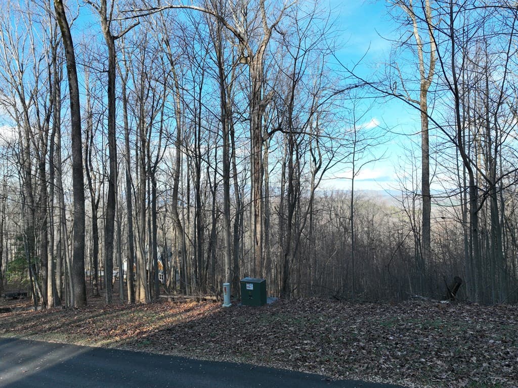 281 Andes Ridge, Ellijay GA 30536 - Photo
