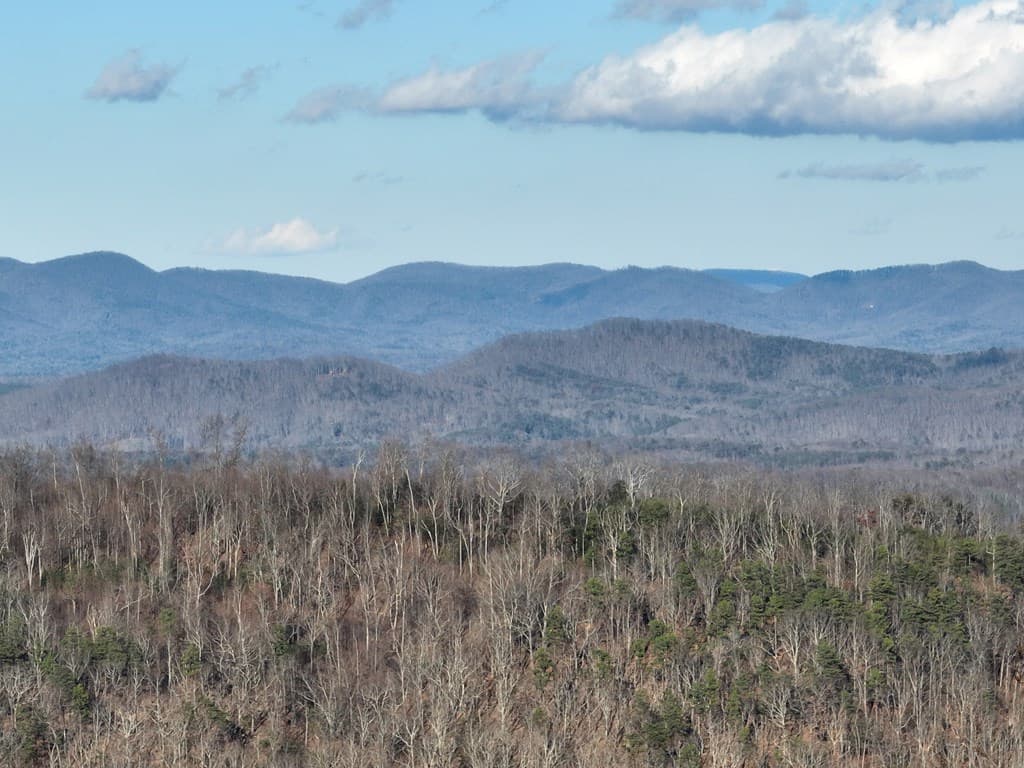 281 Andes Ridge, Ellijay GA 30536 - Photo