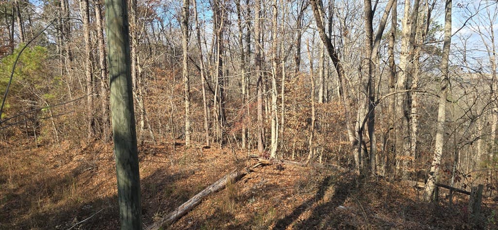 00001 Hwy 369, Ball Ground GA 30107 - Photo