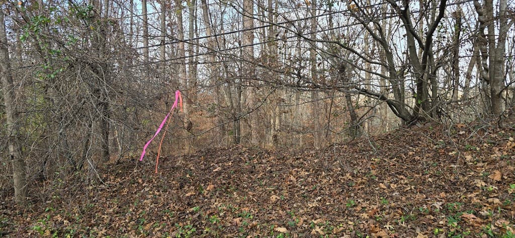 00001 Hwy 369, Ball Ground GA 30107 - Photo
