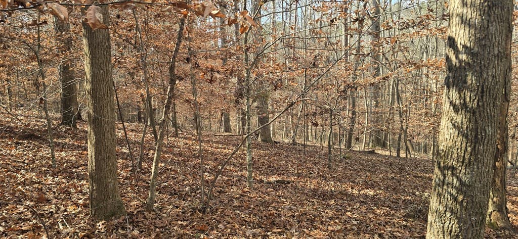 00001 Hwy 369, Ball Ground GA 30107 - Photo