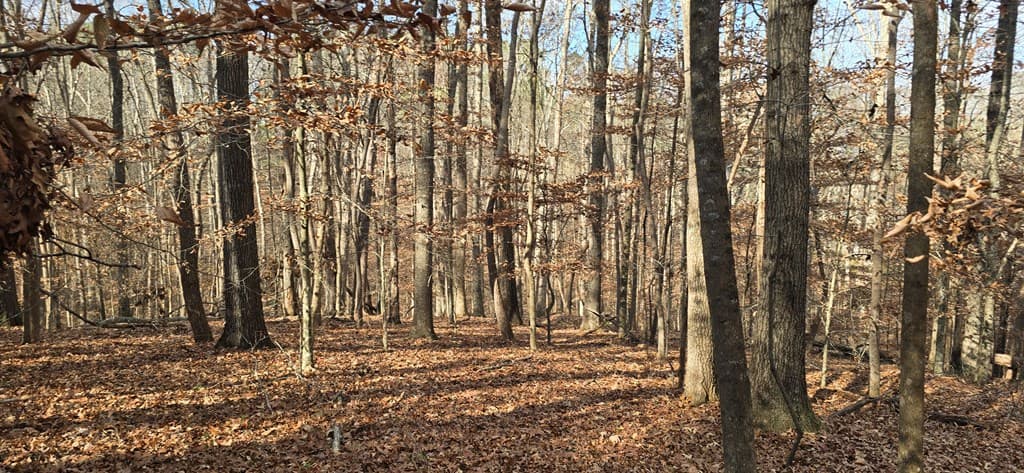 00001 Hwy 369, Ball Ground GA 30107 - Photo