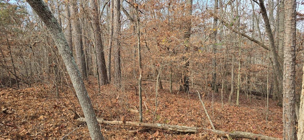 00001 Hwy 369, Ball Ground GA 30107 - Photo